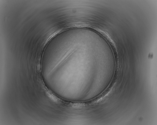 X0000094450889200712061158