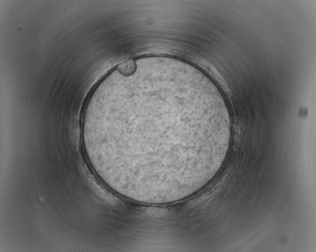 X0000094450890200712061158