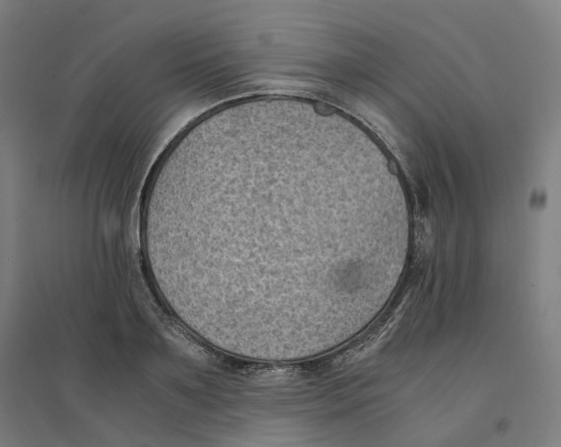 X0000094450891200712061158