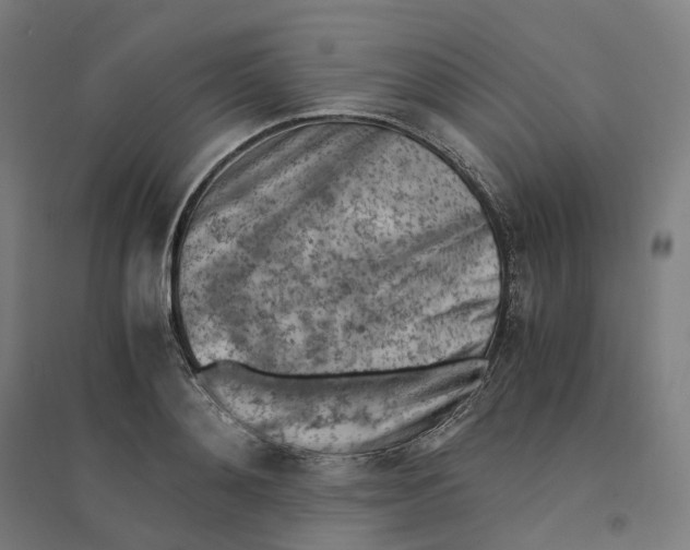 X0000094450892200712061158