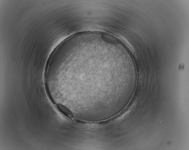 X0000094450893200712061158