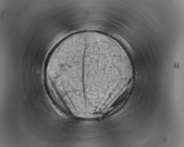 X0000094450894200712061158