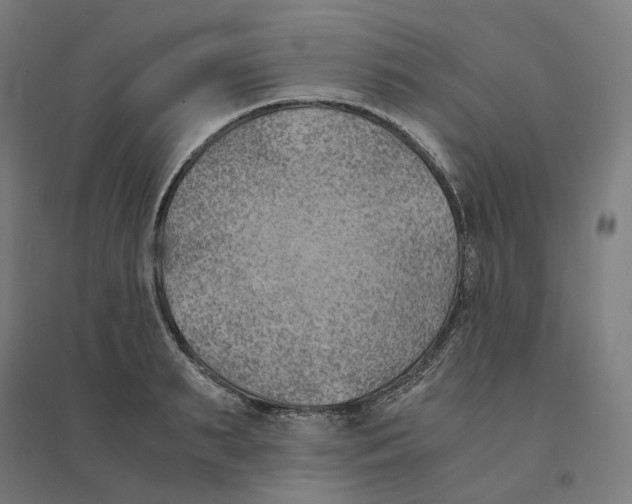 X0000094450895200712061158