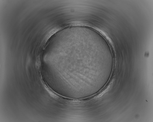 X0000094450897200712061158