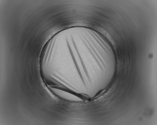 X0000094450898200712061158