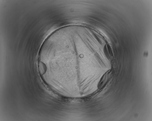 X0000094450899200712061158