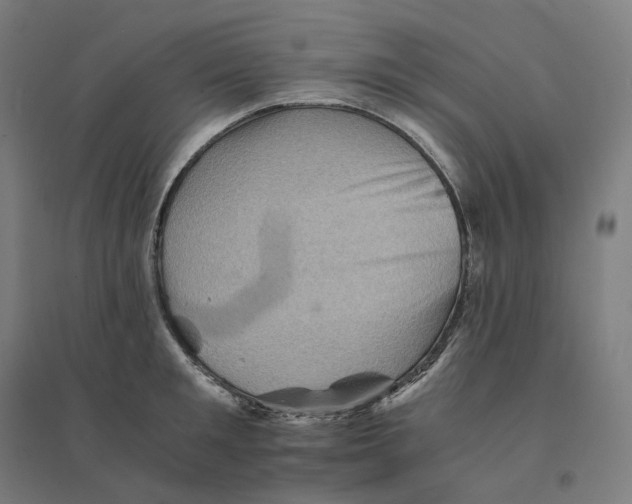 X0000094450901200712061158