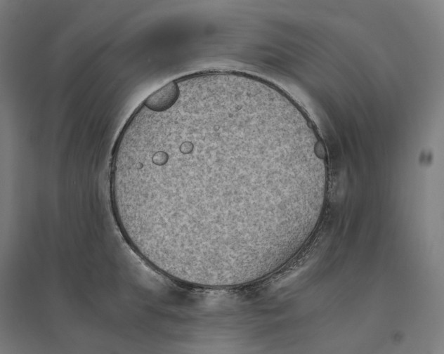 X0000094450903200712061158