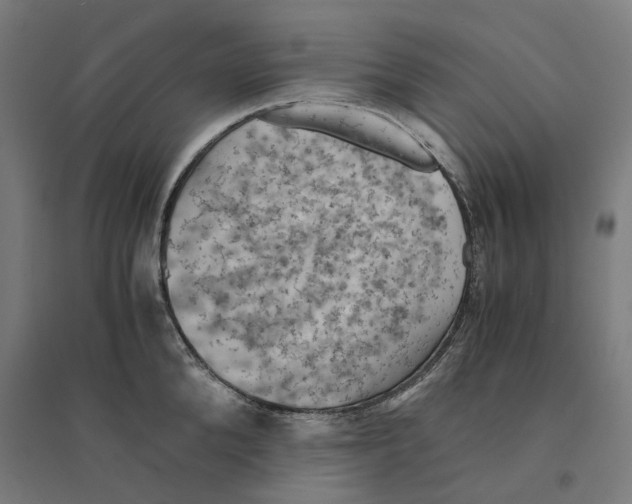 X0000094450904200712061158