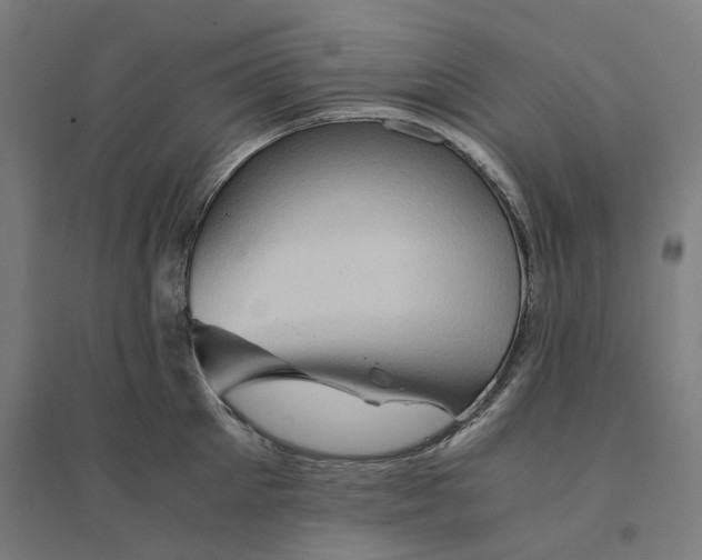 X0000094450905200712061158