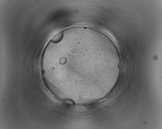 X0000094450907200712061158