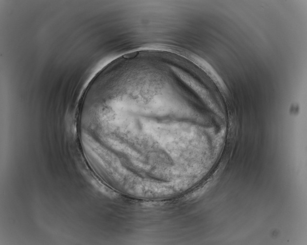 X0000094450908200712061158