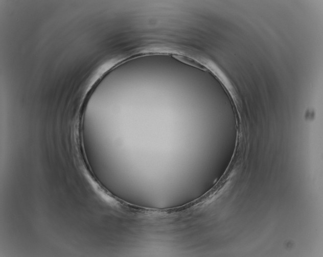 X0000094450909200712061158