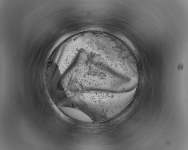 X0000094450910200712061158