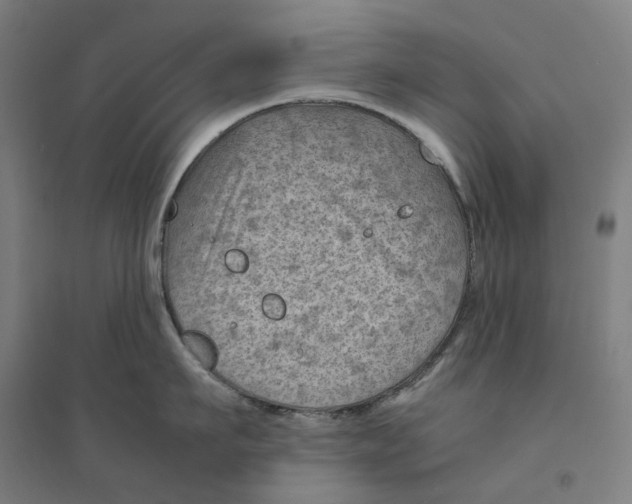 X0000094450911200712061158