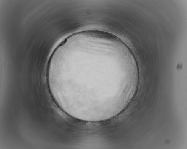 X0000094450912200712061158