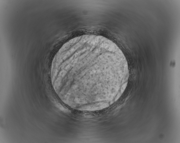 X0000094450913200712061157