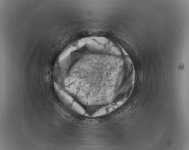 X0000094450914200712061157