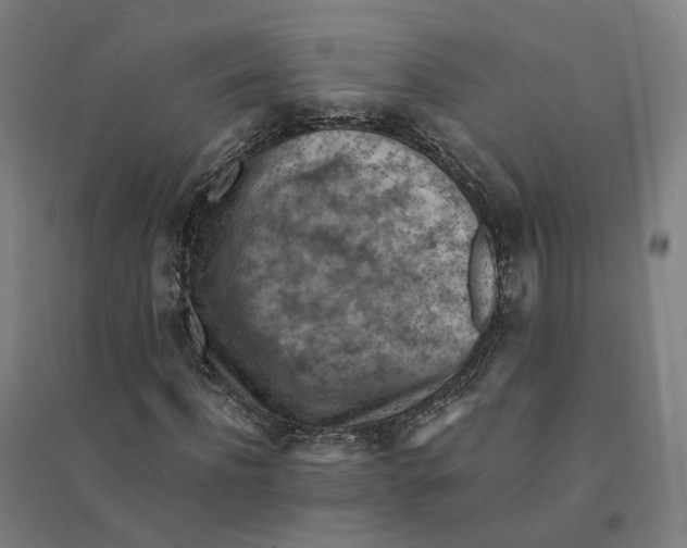 X0000094450916200712061157