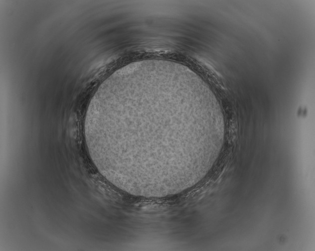 X0000094450917200712061157