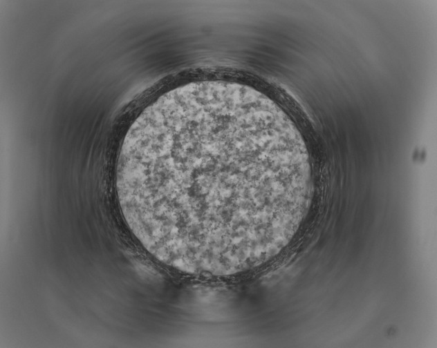 X0000094450919200712061157