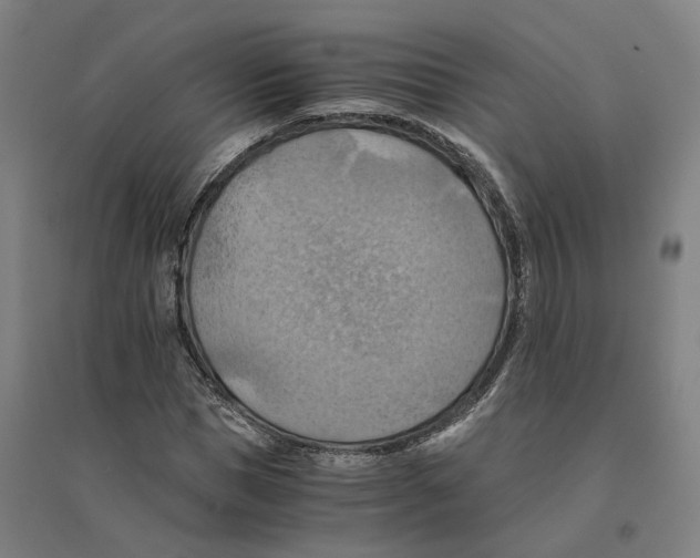 X0000094450921200712061157