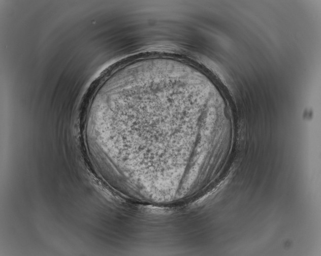 X0000094450923200712061157