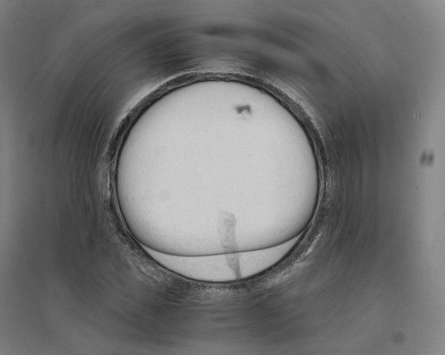 X0000094450925200712061157