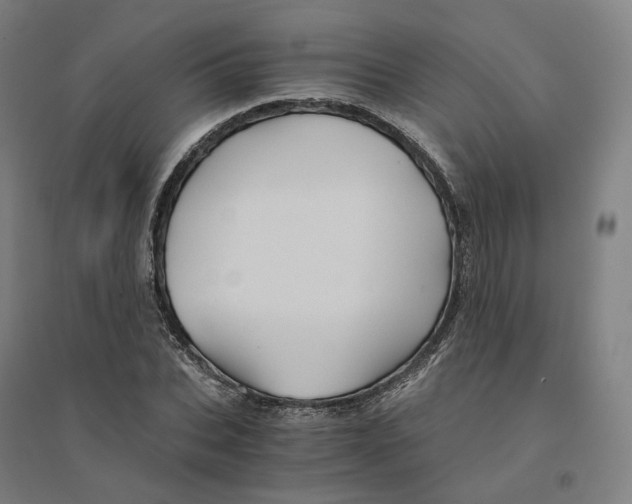 X0000094450927200712061157