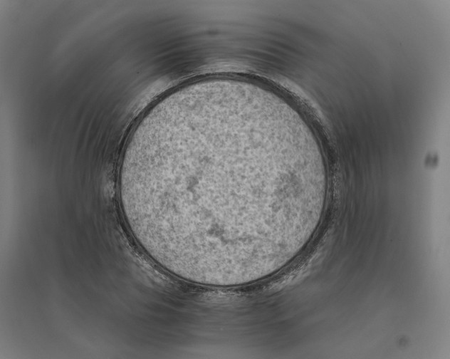 X0000094450929200712061157