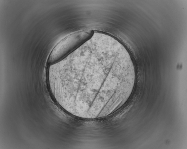 X0000094450932200712061157