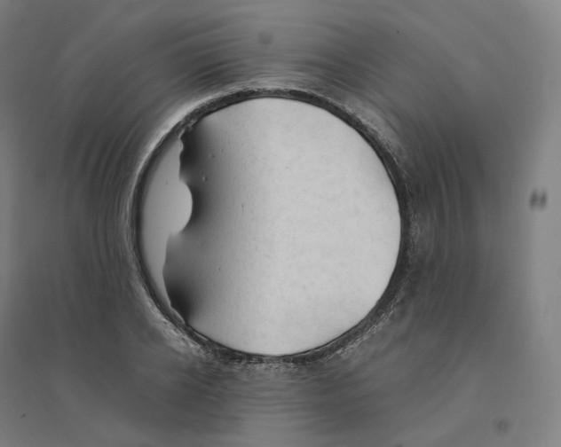 X0000094450934200712061157