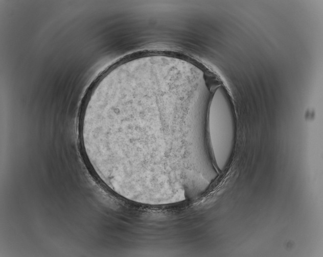 X0000094450935200712061157