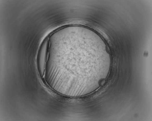 X0000094450936200712061157