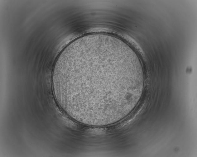 X0000094450937200712061157