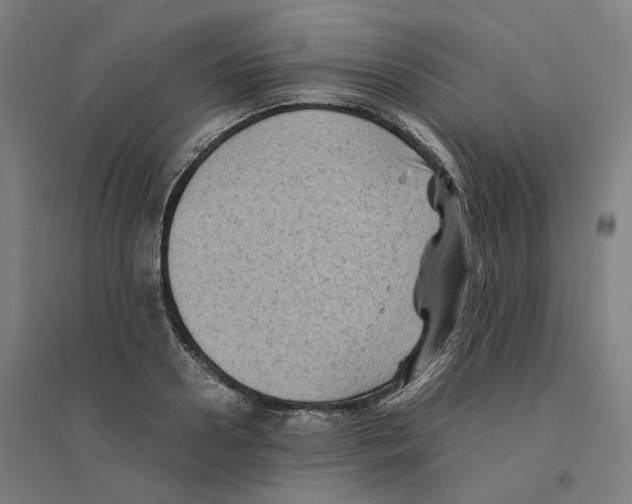 X0000094450938200712061157