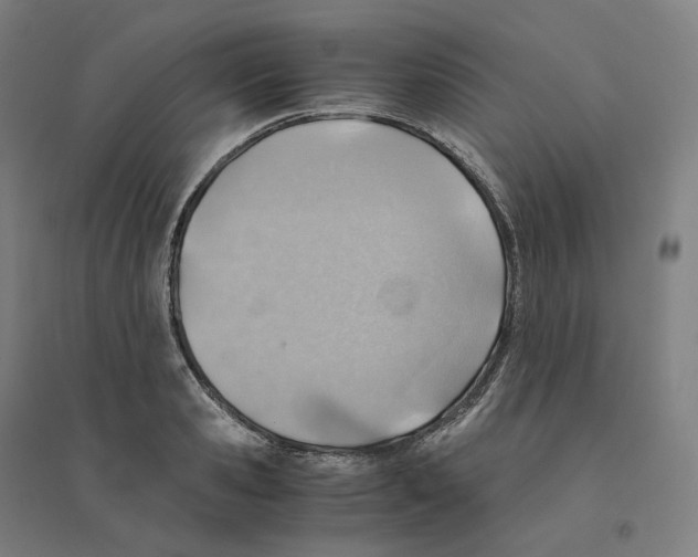 X0000094450941200712061157