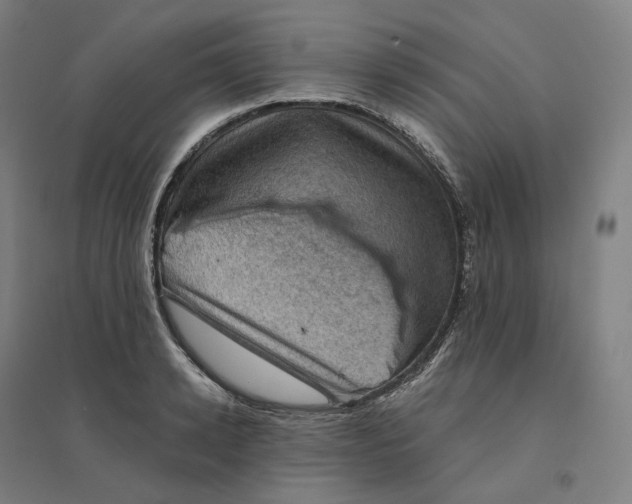 X0000094450942200712061157