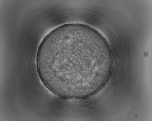 X0000094450943200712061157