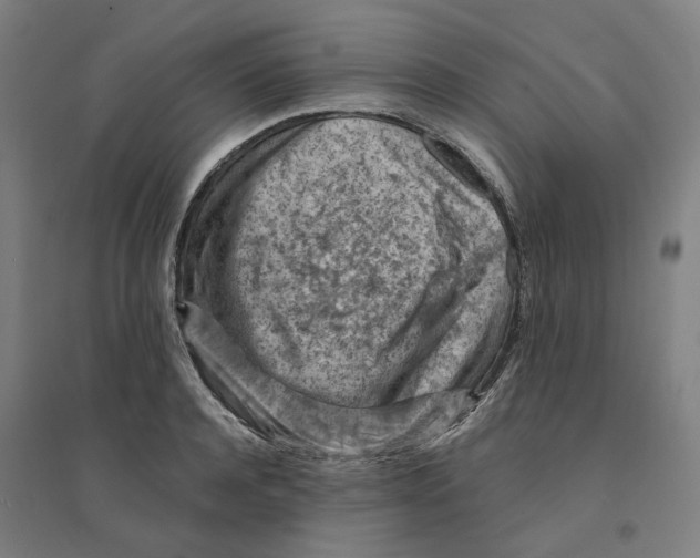 X0000094450944200712061157