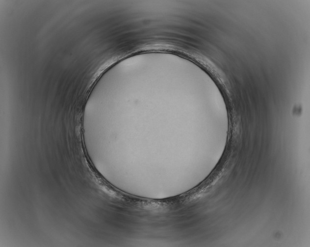 X0000094450945200712061157