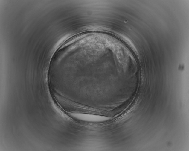 X0000094450946200712061157