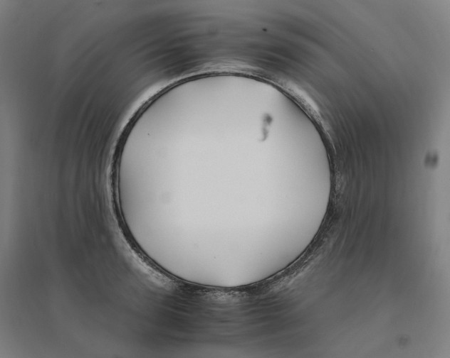 X0000094450947200712061157