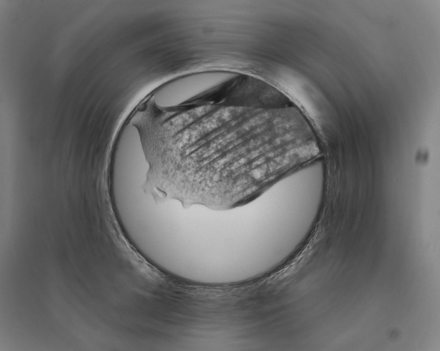 X0000094450948200712061157