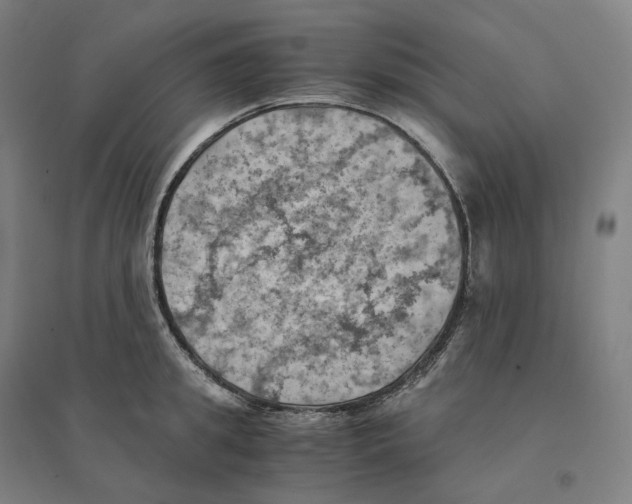 X0000094450949200712061157