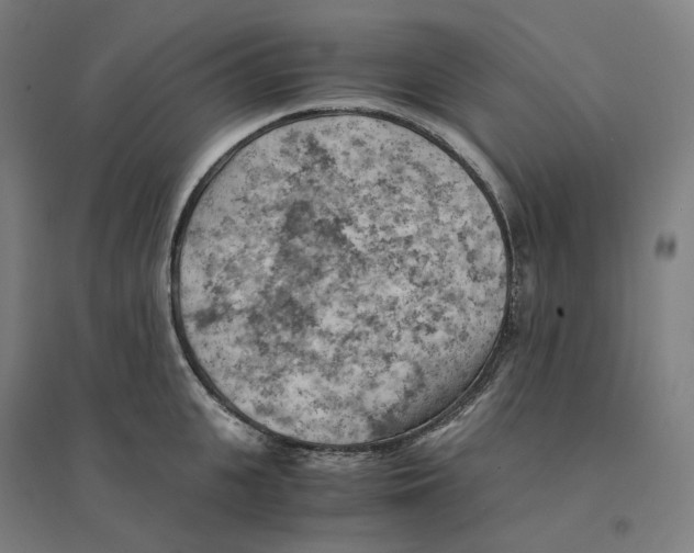 X0000094450951200712061157