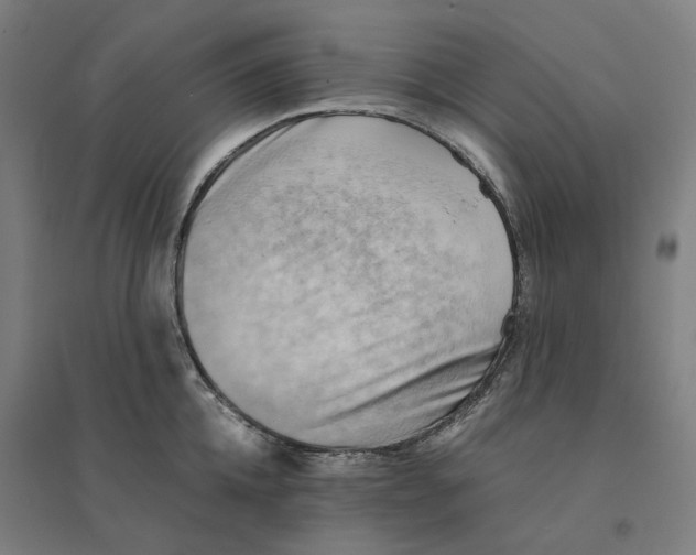 X0000094450952200712061157