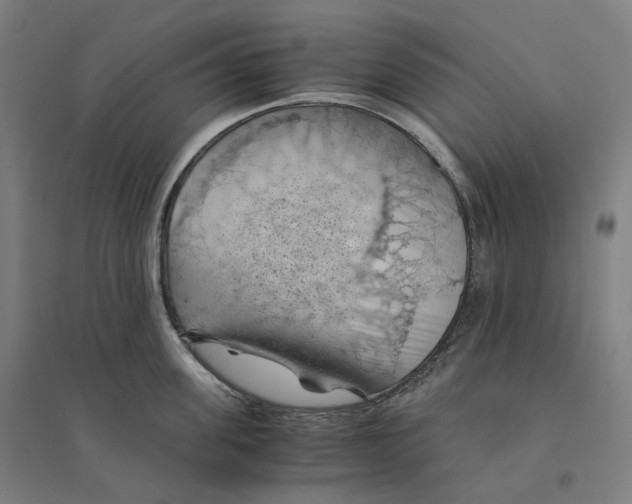 X0000094450955200712061157