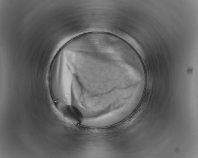 X0000094450958200712061157