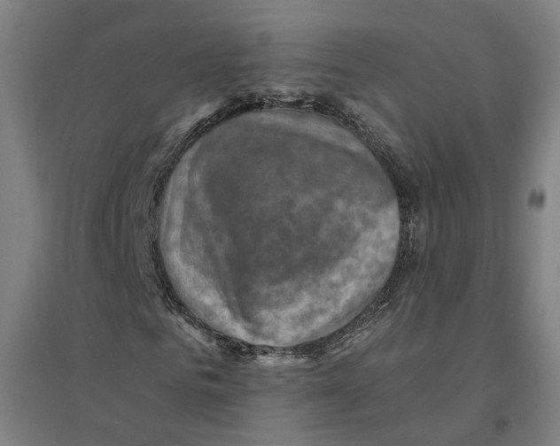 X0000094450961200712061157